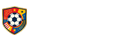 世界杯直播